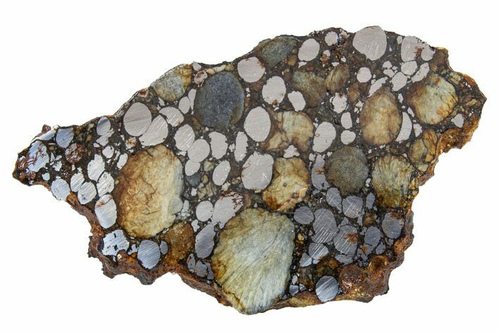 Rare Gujba Meteorite ( g) Slice - Witnessed Fall! #301182